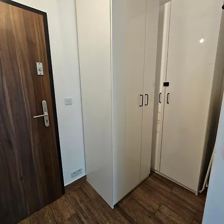 Steam Park Rakowicka Koper Krakkó