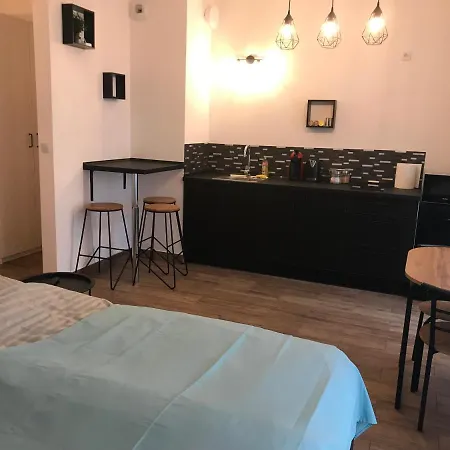 Steam Park Rakowicka Koper Lägenhet Kraków