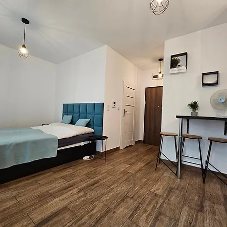 Steam Park Rakowicka Koper *